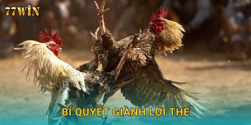 Bí quyết giành lợi thế