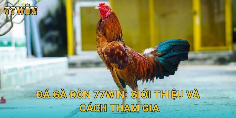 Đá gà đòn 77WIN: Giới thiệu và cách tham gia