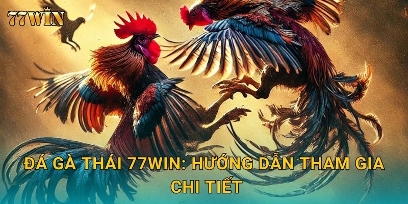 Đá gà Thái 77WIN: Hướng dẫn tham gia chi tiết