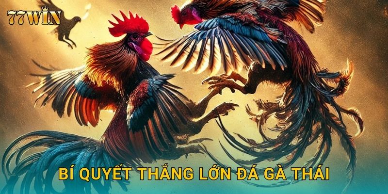 Bí quyết thắng lớn đá gà Thái