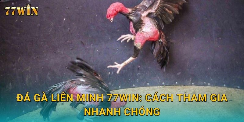 Đá gà liên minh 77WIN: Cách tham gia nhanh chóng