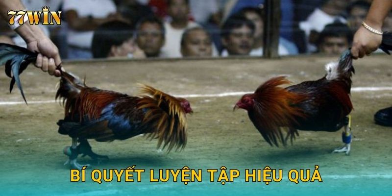 Bí quyết luyện tập hiệu quả